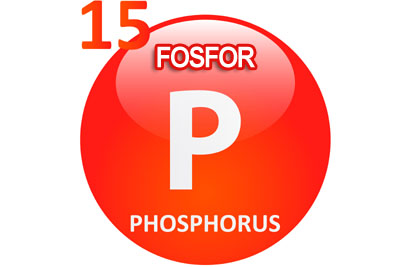 Fosfor, een belangrijk macromineraal